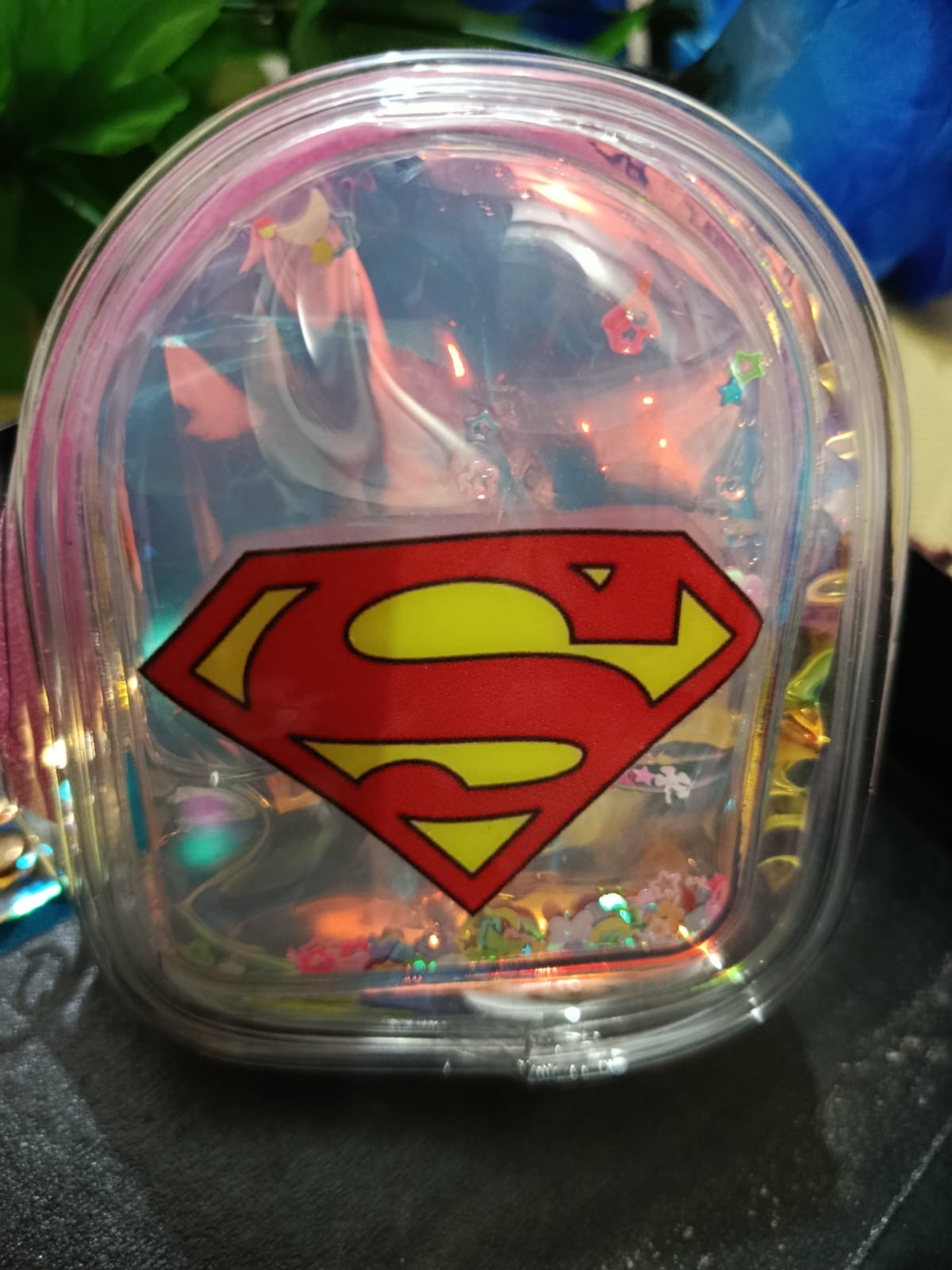 Compact Transparent Zipper Storage Bag