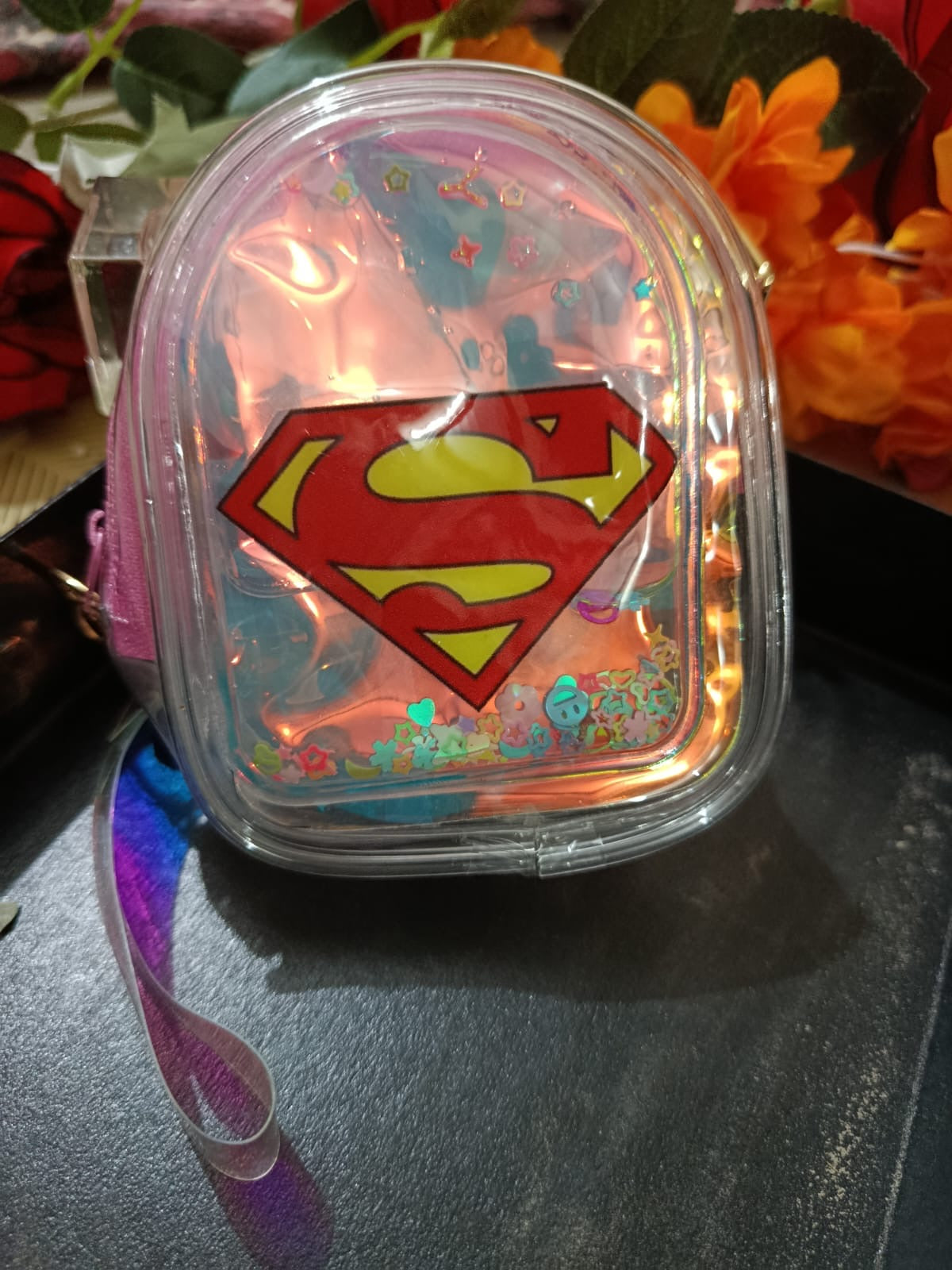 Compact Transparent Zipper Storage Bag